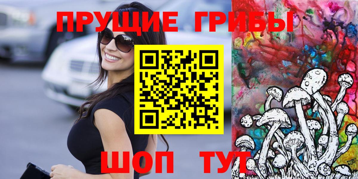 Подольск  Галлюциногенные грибы Cubensis  купить наркотик  Вход с VPN 